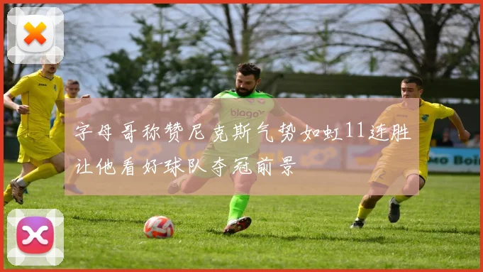 字母哥称赞尼克斯气势如虹11连胜让他看好球队夺冠前景